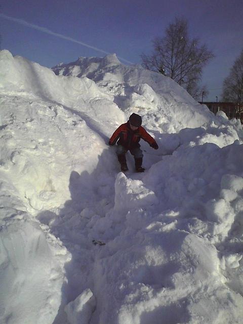 Bjorn_on_snow_pile