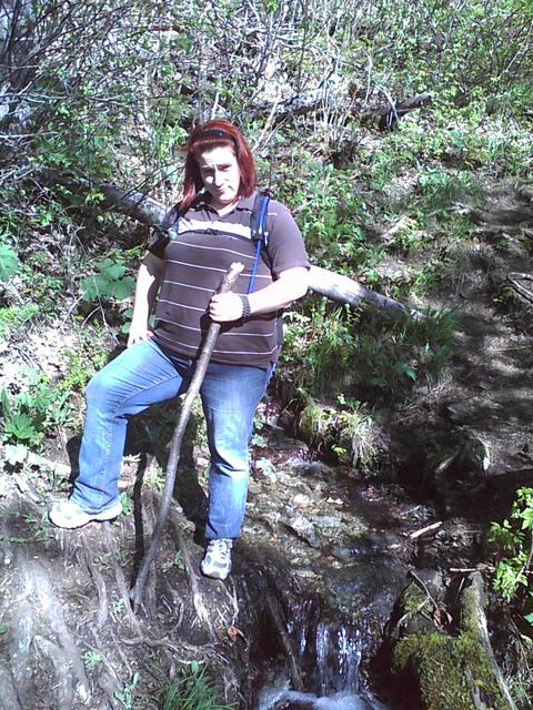 gin_at_waterfall