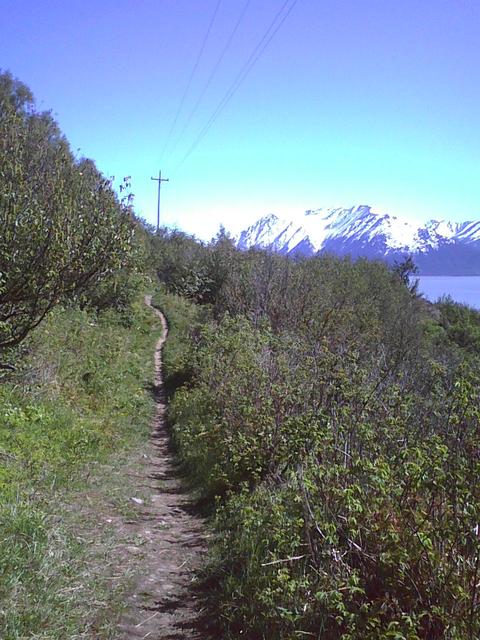 the_trail_ahead
