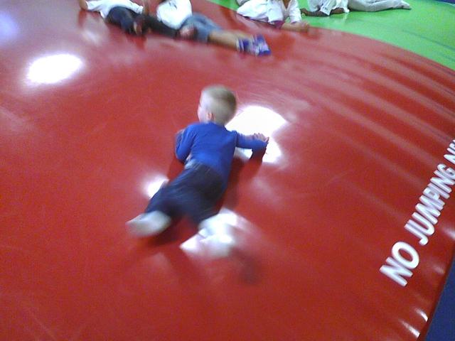 bouncing bears1