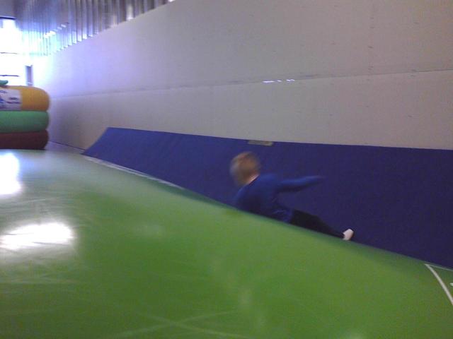 bouncing bears2