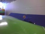bouncing bears2