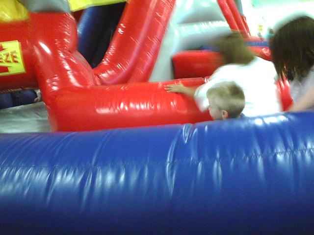 bouncing bears5