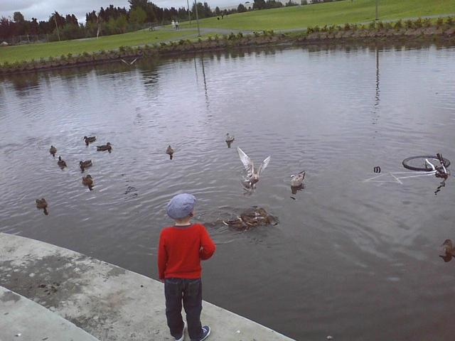 Photo08021151_1