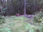 Photo09041041_1