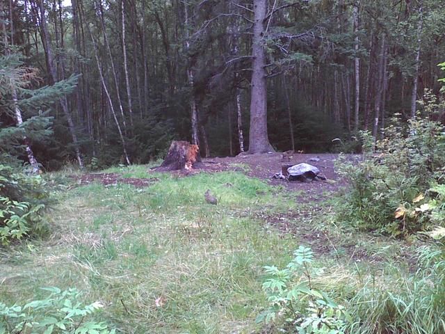 Photo09041041_1