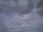 wwII plane2