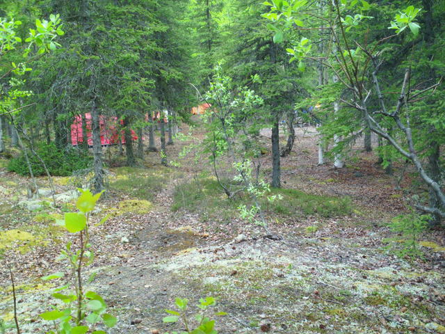 SAM_0032