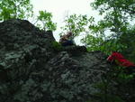 SAM_0035