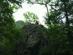 SAM_0037