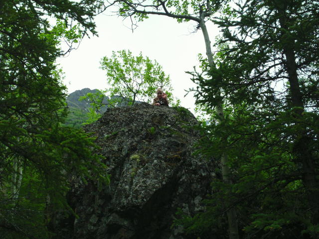 SAM_0037