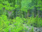 SAM_0041