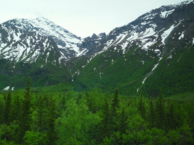 SAM_0042