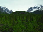 SAM_0043