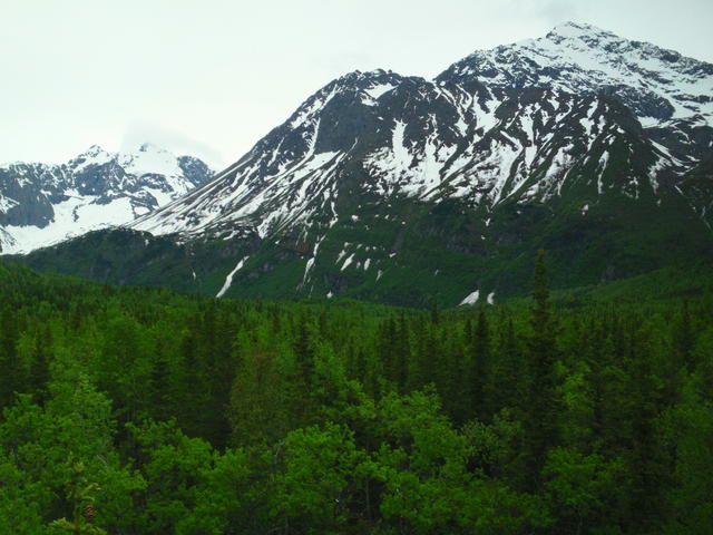 SAM_0044
