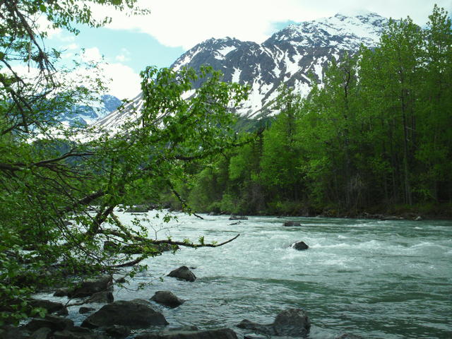 SAM_0049