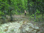 SAM_0065
