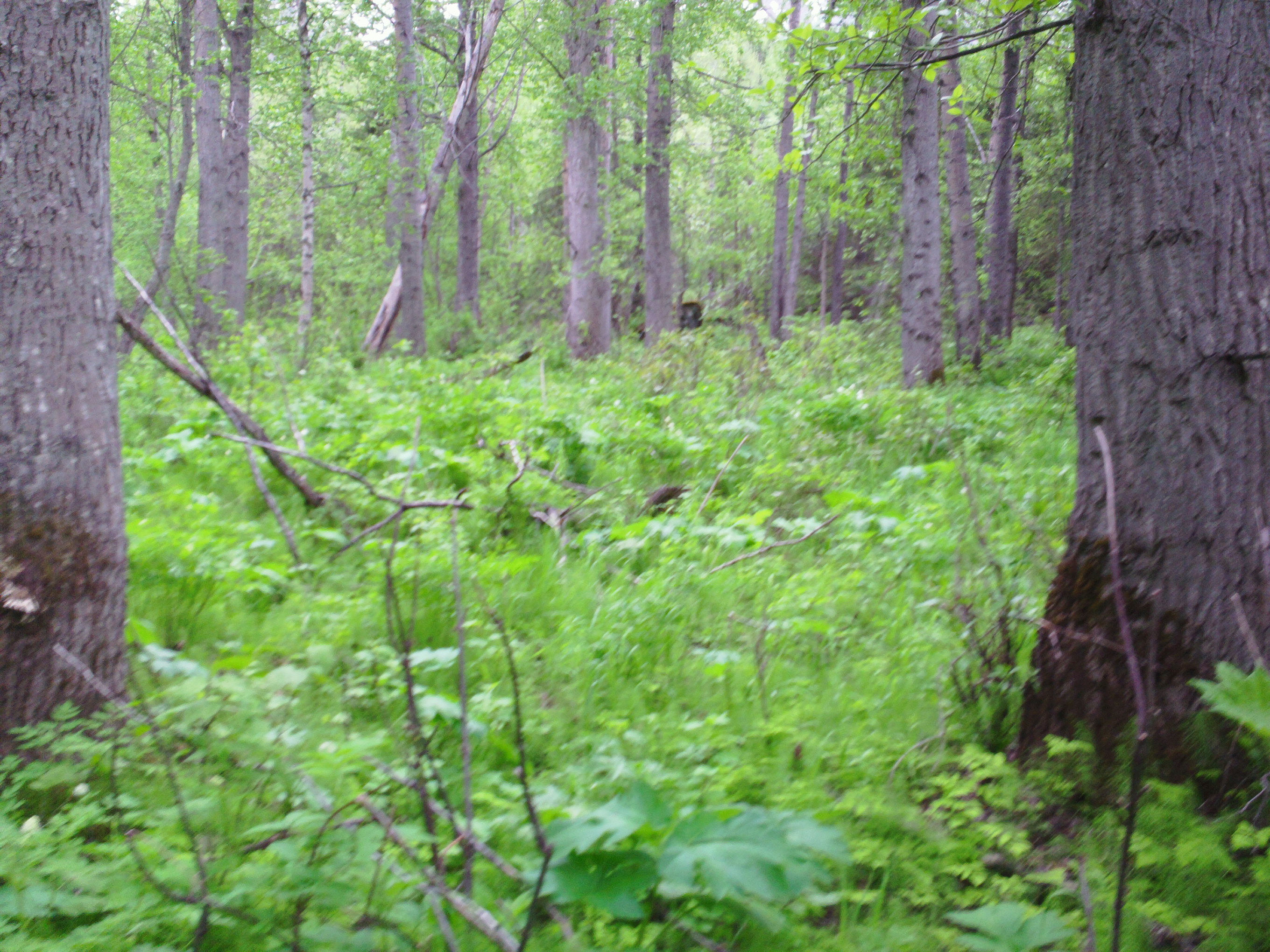 SAM_0066