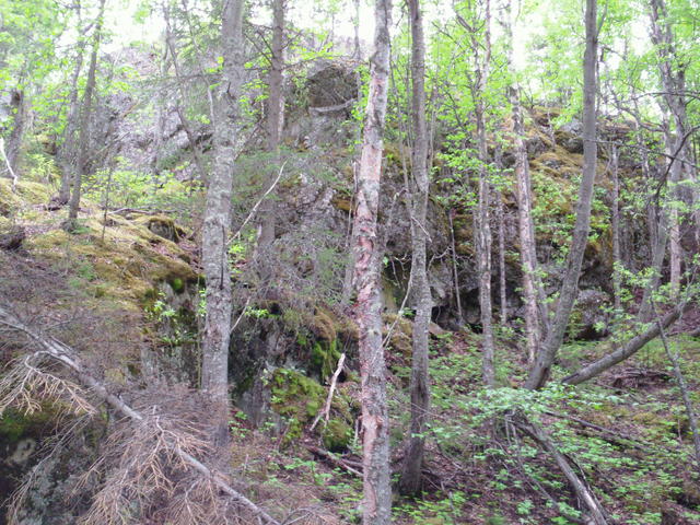 SAM_0070