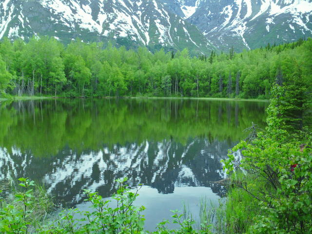 SAM_0073
