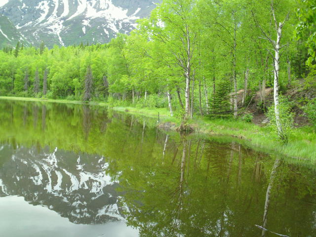 SAM_0078
