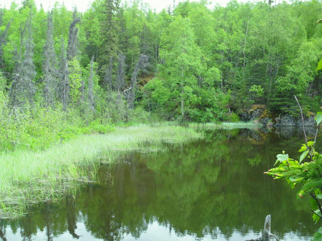 SAM_0080