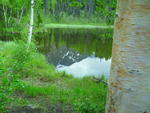 SAM_0083
