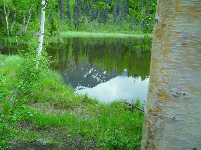 SAM_0083