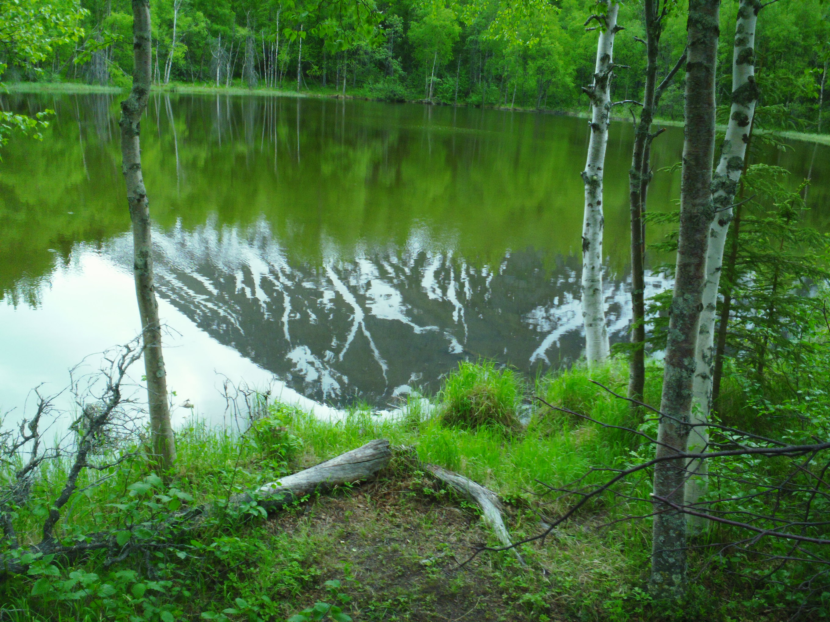 SAM_0084