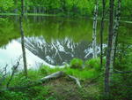 SAM_0084