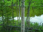 SAM_0085