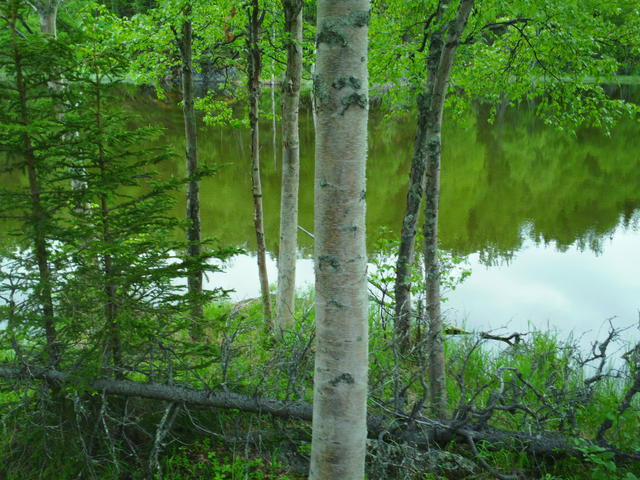 SAM_0085