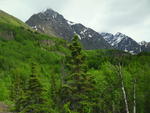 SAM_0086