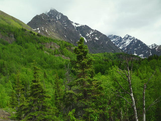 SAM_0086