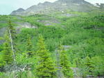 SAM_0087