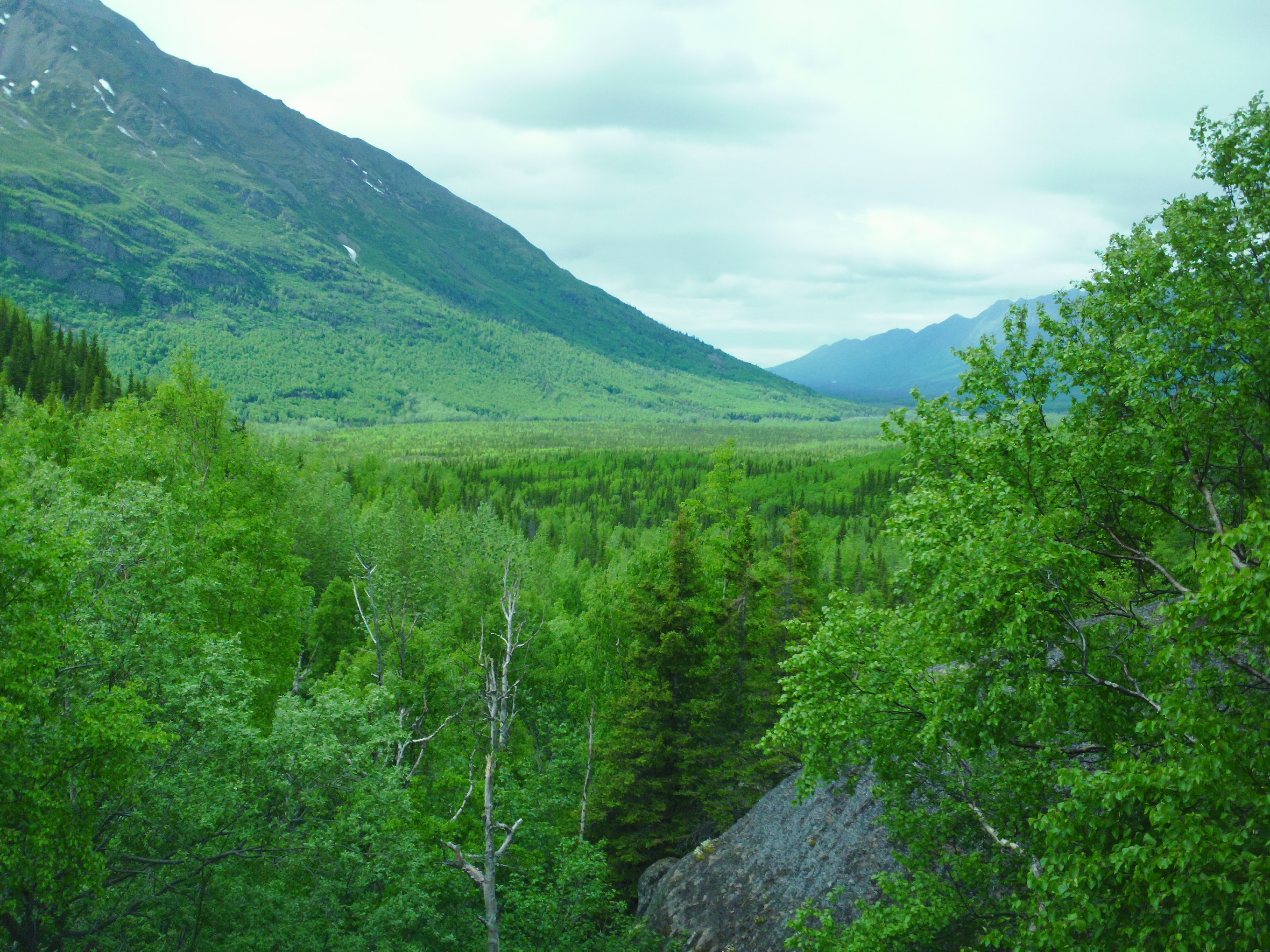 SAM_0089