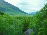 SAM_0089
