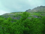 SAM_0090