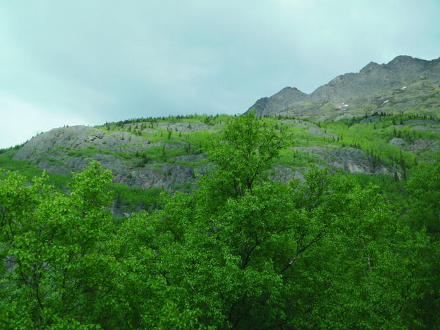 SAM_0090