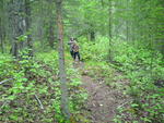 SAM_0095