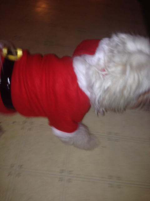 Christmas2013-8