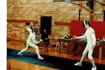 Fencing 8