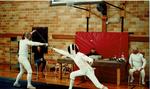 Fencing 13