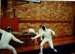 Fencing 4
