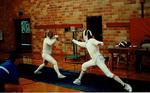 Fencing 11