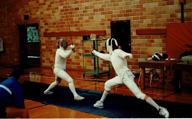 Fencing 11