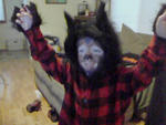 Bjorn_at_Gma_pre_haloweentown