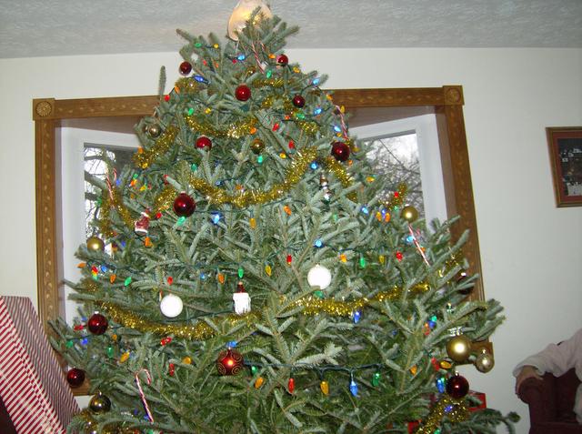 Tree