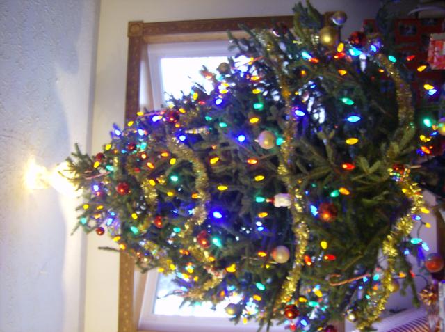 tree2